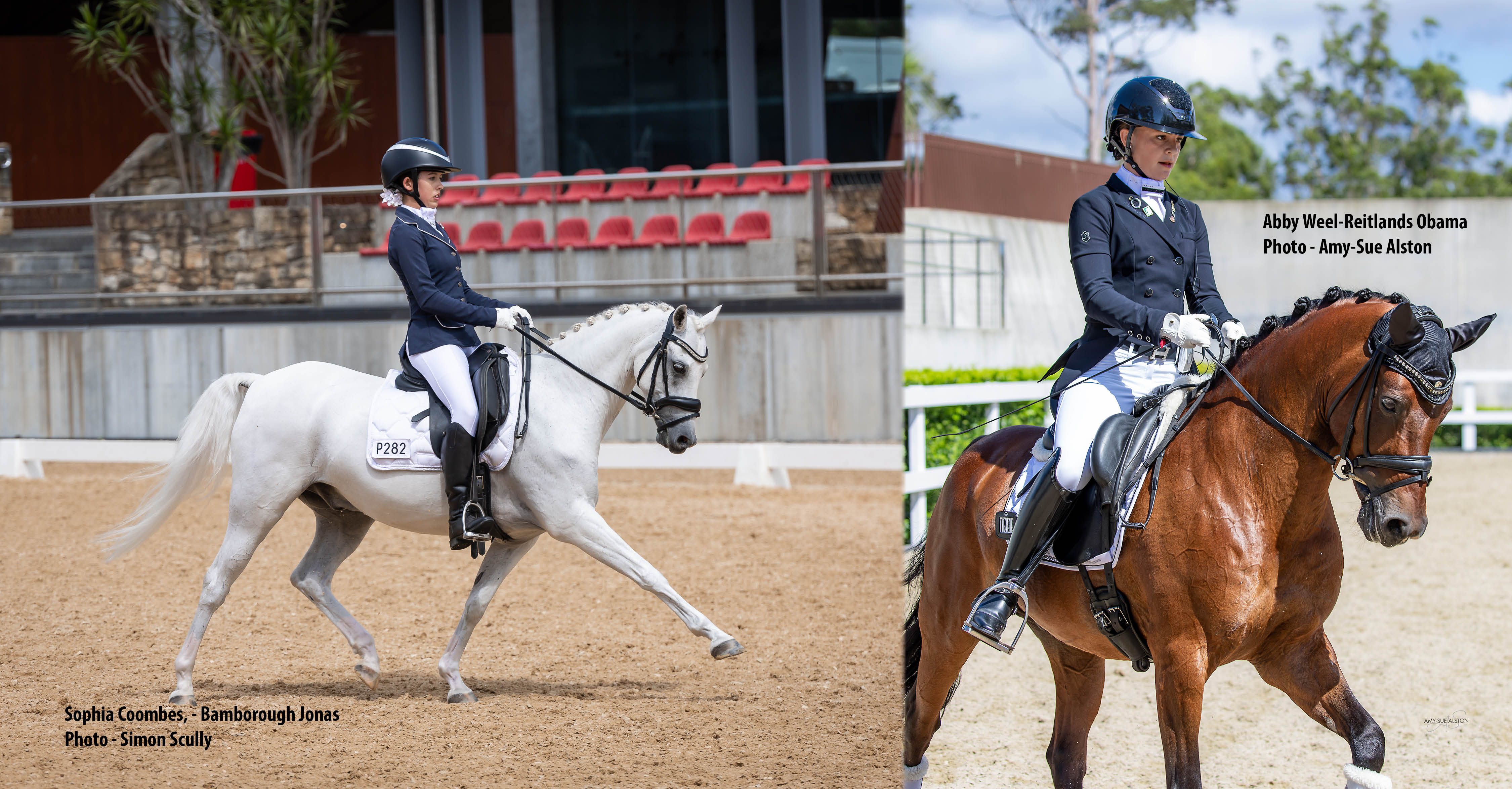 DNSW Event Calendar Dressage New South Wales
